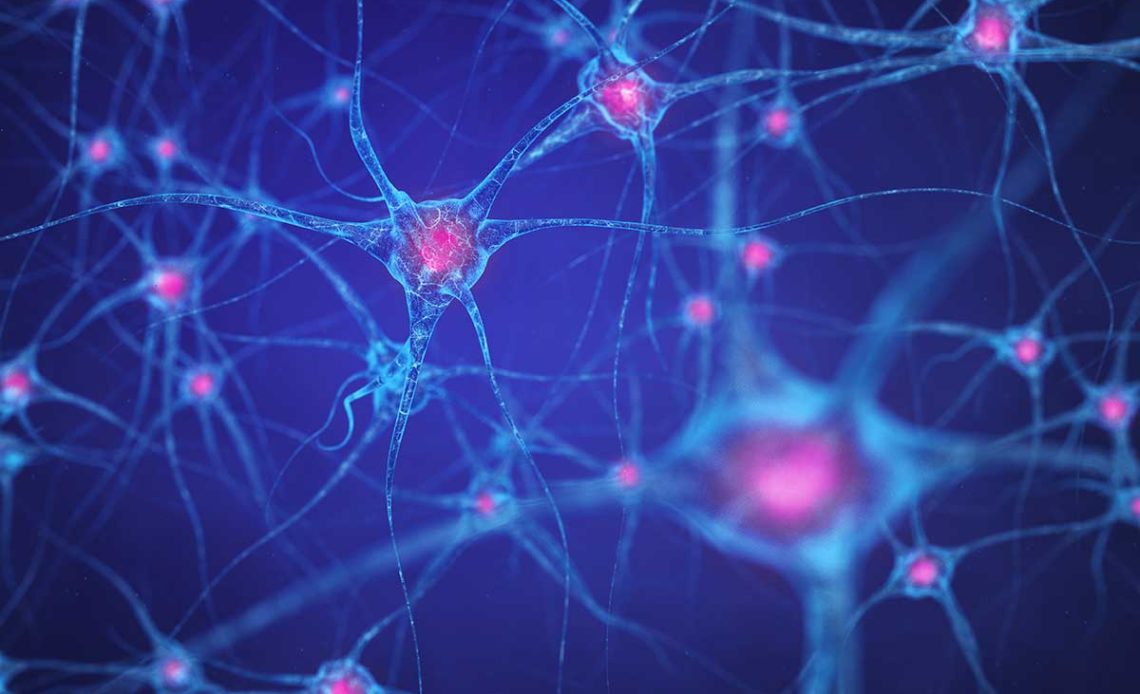 AI and deep learning models